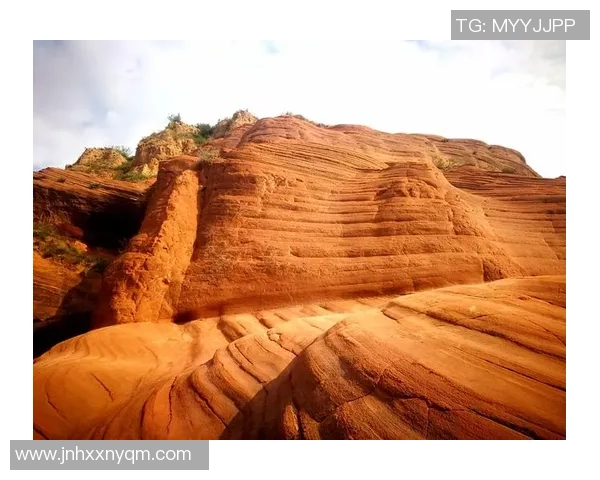 聚焦绿茵巨星成长轨迹与赛场荣耀征途全景解析与精彩瞬间传奇之旅